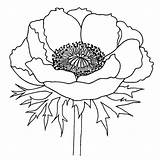 Flower Embroidery Poppy Line Poppies Drawing Coloring Drawings Fabric 1000 Painting Pages Stamps Pattern Designs Digital Printables Artesanato Flowers sketch template