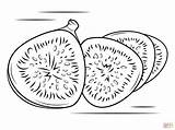 Fig Coloring Fruit Pages Printable Figs Drawing Fruits sketch template