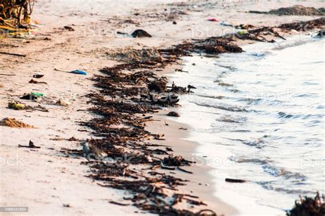 pandangan pantai  tercemar  foto kesadaran lingkungan  baik foto stok