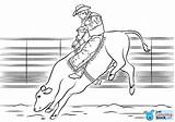Bull Rodeo Bucking Drukuj sketch template