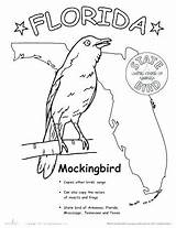 Florida Coloring State Pages Worksheets Bird Flag Symbols Texas Printable Drawing Mississippi Grade Mockingbird Birds University Map Color Outlines Maps sketch template