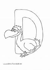 Tieralphabet Dodo Buchstabe Herunterladen Malvorlagen sketch template