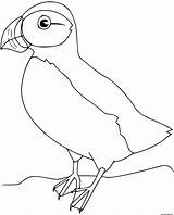 Macareux Puffin Coloriage Oiseau Oiseaux Ptaki Uccelli Imprimer Kolorowanki Coloriages Colorat Pasari P51 Dzieci Kolorowanka Printeaza sketch template