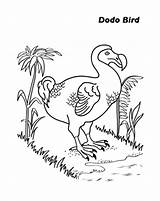 Dodo Bird Coloring Pages Finding Food Drawing Netart Template Sketch Getdrawings sketch template