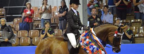 ea australian show horse championship host announced      equestrian australia