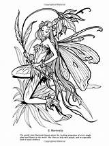 Fairies Trolls Elves Dover Sovak Antropomorfi Libri Adulti Pagine Hadas sketch template