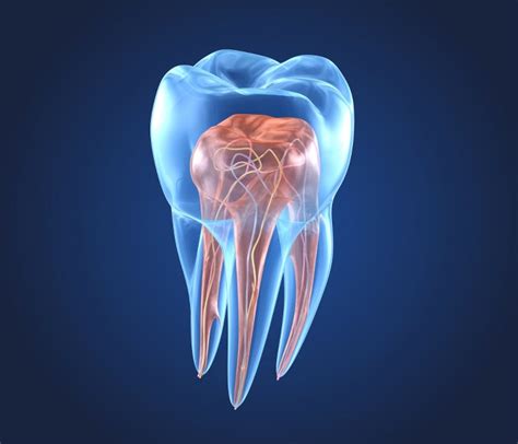 endodontics cosmetic dentist liverpool ormskirk