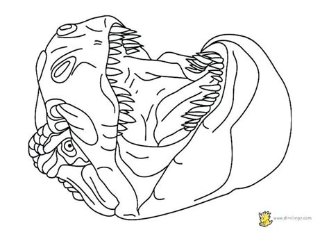 dinosaurs color pages   coloring books