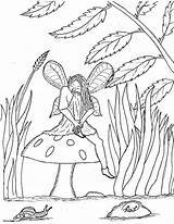 Mushroom Fairy Sitting Coloring Pages Fairies Robin Great sketch template
