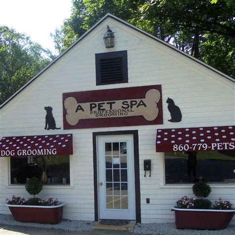 pet spa boutique brooklyn ct     dog grooming