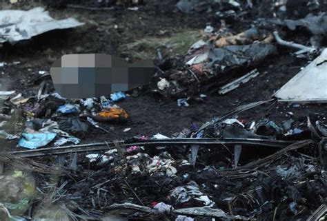 Shocking Photos Malaysia Flight Mh17 Shot Down By Missile