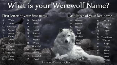 book  spells spells alpha leader   pack werewolf wattpad