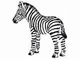 Zebra Coloring Pages Baby Cute Zebras Printable Clipart Cartoon Cliparts Drawing Print Kid Getcolorings Color Getdrawings Clipartmag Face Library sketch template