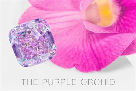 Purple Orchid Diamond Worth 4 Million Israel21c