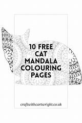 Mandala Mindfulness Adults sketch template