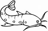 Colorear Bagre Catfish Pez Peixe Poisson Ryby Chat Kolorowanki Gato Kolorowanka Desenho Rybki Tudodesenhos Pesci Peces Pesce Mamydzieci Wydrukowania sketch template