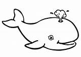 Whale Coloring Outline Pages Blue Kids Clipart Killer Cartoon Beluga Shark Color Drawing Smiling Line Whales Printable Orca Dolphin Pencil sketch template