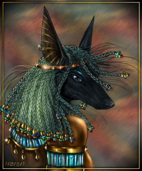 egyptian god   dead anubis  black jackal exemplore
