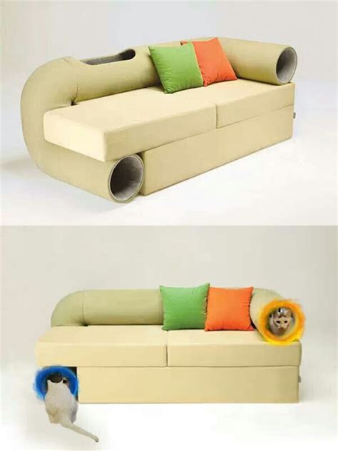 cat friendly couch cat tunnel sofa cat couch cat playground cat enclosure cat cafe cat room