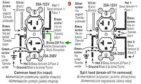 plug wiring diagram great diagram