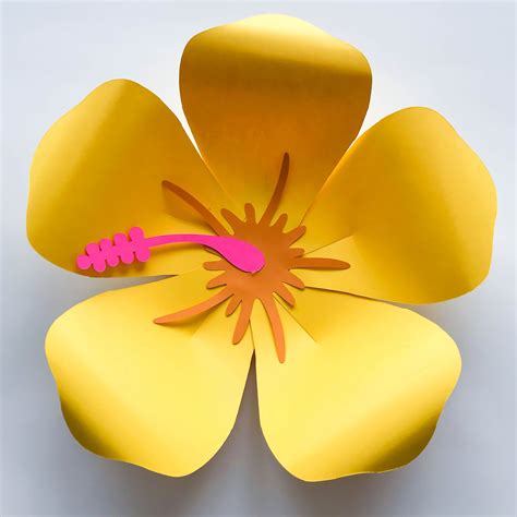 printable hibiscus flower template printable world holiday