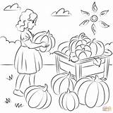 Coloring Harvest Pages Pumpkins Printable sketch template