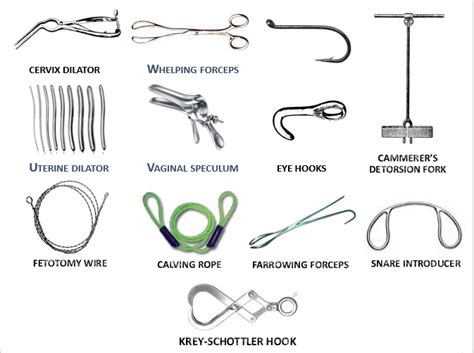 obstetrical instruments     veterinary obstetrics