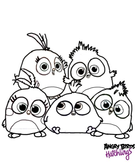 angry birds hatchlings coloring page  angrybirdstiff  deviantart