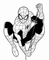 Spiderman Spider Clipartmag sketch template