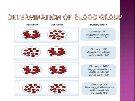 blood groups