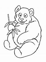 раскраска панда sketch template