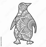 Mandala Pinguino Coloring Da Colorare Pinguin Bianco Nero Vector Book Illustration sketch template