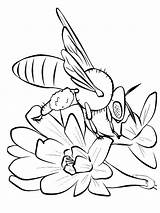 Bee Coloring Pages Color Print Coloring2print sketch template