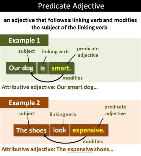 predicate adjectives english grammar solution