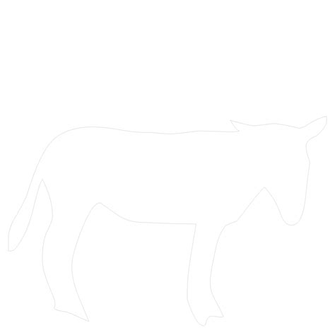 donkey outline  stock photo public domain pictures