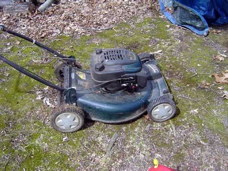 political pistachio  lawn mower saved  marriage