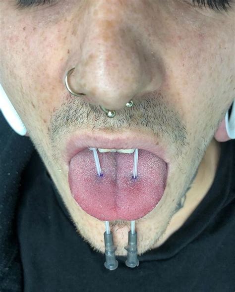 double tongue piercing [50 ideas] and complete guide rightpiercing
