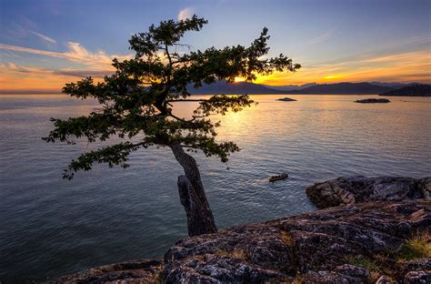 west  juniper point photograph  alexis birkill fine art america