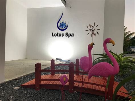 lotus spa providenciales