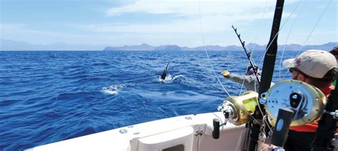 private hawaii deep sea fishing charter kona big island