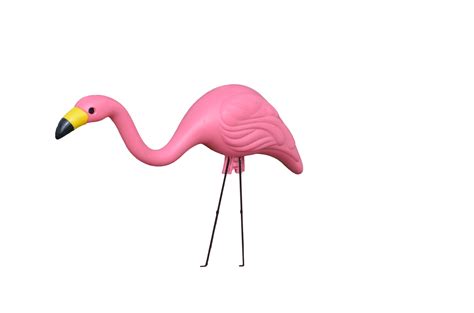 Plastic Pink Flamingo Psd File By Annamae22 On Deviantart