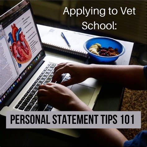 personal statement tips  applying  vet school vet school vet school motivation school