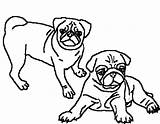 Pug Coloring Pages Two Pugs Clipart Puppy Adult Print Beautiful Dog Printable Drawing Cartoon Pig Color Draw Kids Getdrawings Getcolorings sketch template