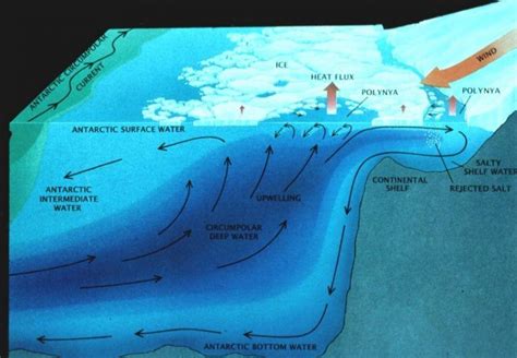 monday jan    antarctic circumpolar current acc   worlds largest ocean