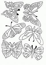 Schmetterling Vlinder Papillons Malvorlagen Kleurplaten Mariposas Kleurplaat Farfalle Dieren Tyson Malvorlagen1001 Ausmalbilder Borboletas Malvorlage Butterflies Colorir Schmetterlinge Vorlagen Vorlage Tsgos sketch template