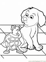 Pets Coloring Pages Wonder Printable Dinokids Book Color Colouring Books Info Para Sheets Cartoons Library Close Popular Websincloud Fra Lagret sketch template