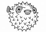 Pesce Pez Palla Erizo Igelfisch Kleurplaat Malvorlage Puffer Porcupine Stampare Pesci Baiacu Payaso Espinho Pufferfish sketch template
