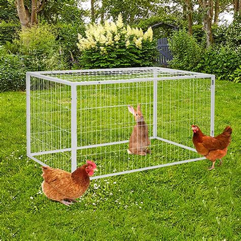 amazoncom chicken cage