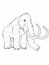 Mammoth sketch template