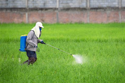 research feature lowering adolescent pesticide exposure environmental health sciences